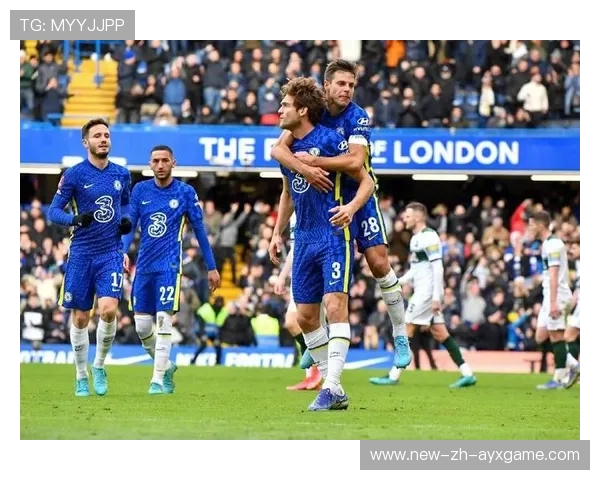 奥多伊冲击防线，森林连破大门